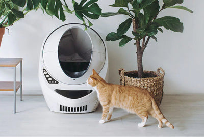 Katz-LooNaturalClumpingCatLitter-ForSelfCleaningRobots