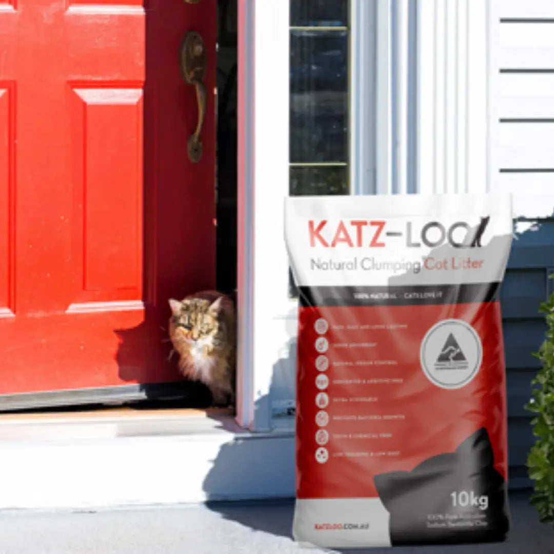 Katz-Loo Gift Voucher Katz-Loo