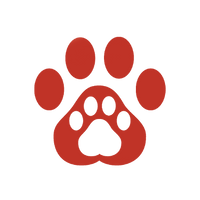 Safe for Cats & Kittens