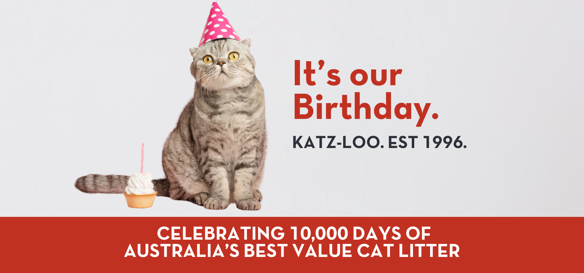 Most economical cat litter top