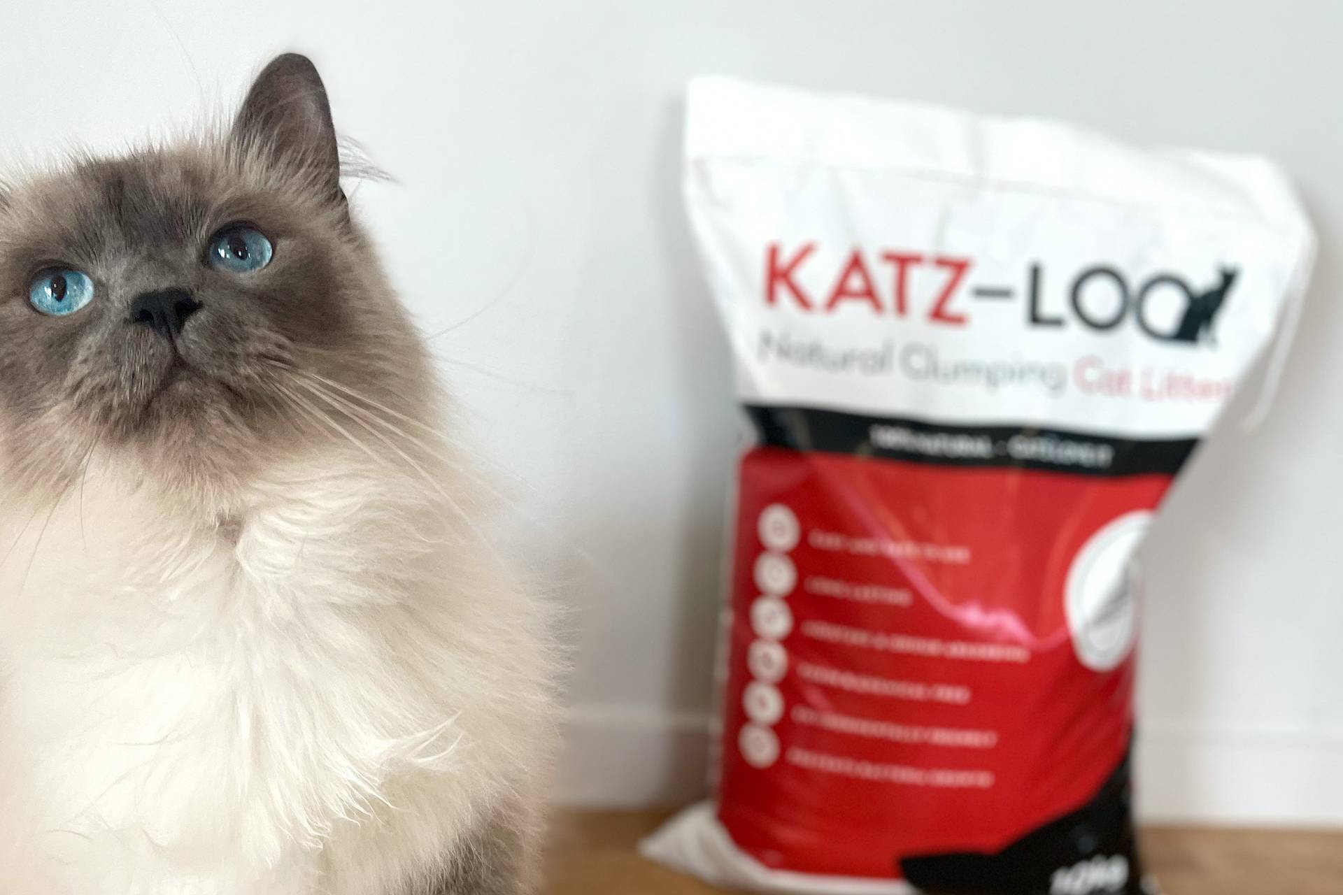 Katz-Loo cat and bag